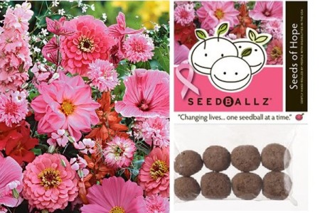 Seedballz Seeds Of Hope Seed Collection