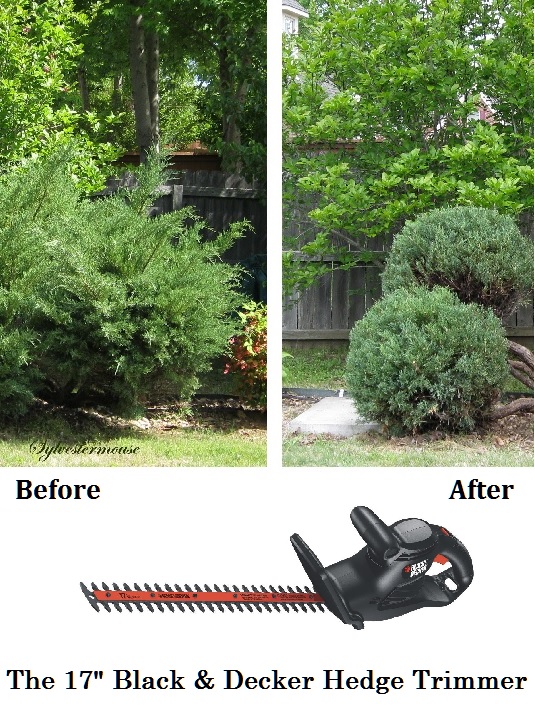 17" Black & Decker Hedge Trimmer - The Best Gardening Power Tool