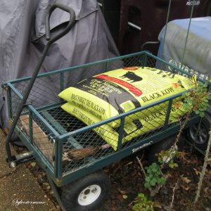 Garden Utility Cart
